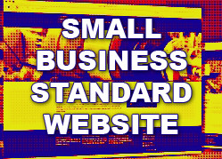 2014-08-22 23-Icons-SMALL BUSINESS STANDARD WEBSITE